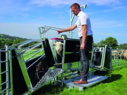 Me&eth;h&ouml;ndlunarklemma fyrir sau&eth;f&eacute;