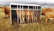 Úti Kjarnfóðurbox fyrir kálfa