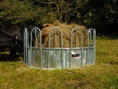 Tombstone - Rúllugjafahringur