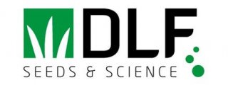 DLF Trifolium