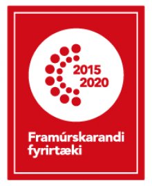 Framúrskarandi fyrirtæki